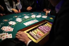 Pengguna tania77 membangun komunitas sports dan casino yang bertanggung jawab